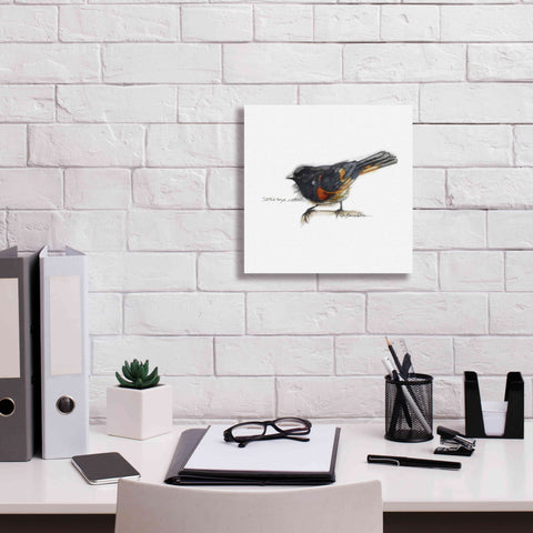 Image of 'Songbird Study IV' by Bruce Dean, Giclee Canvas Wall Art,12x12