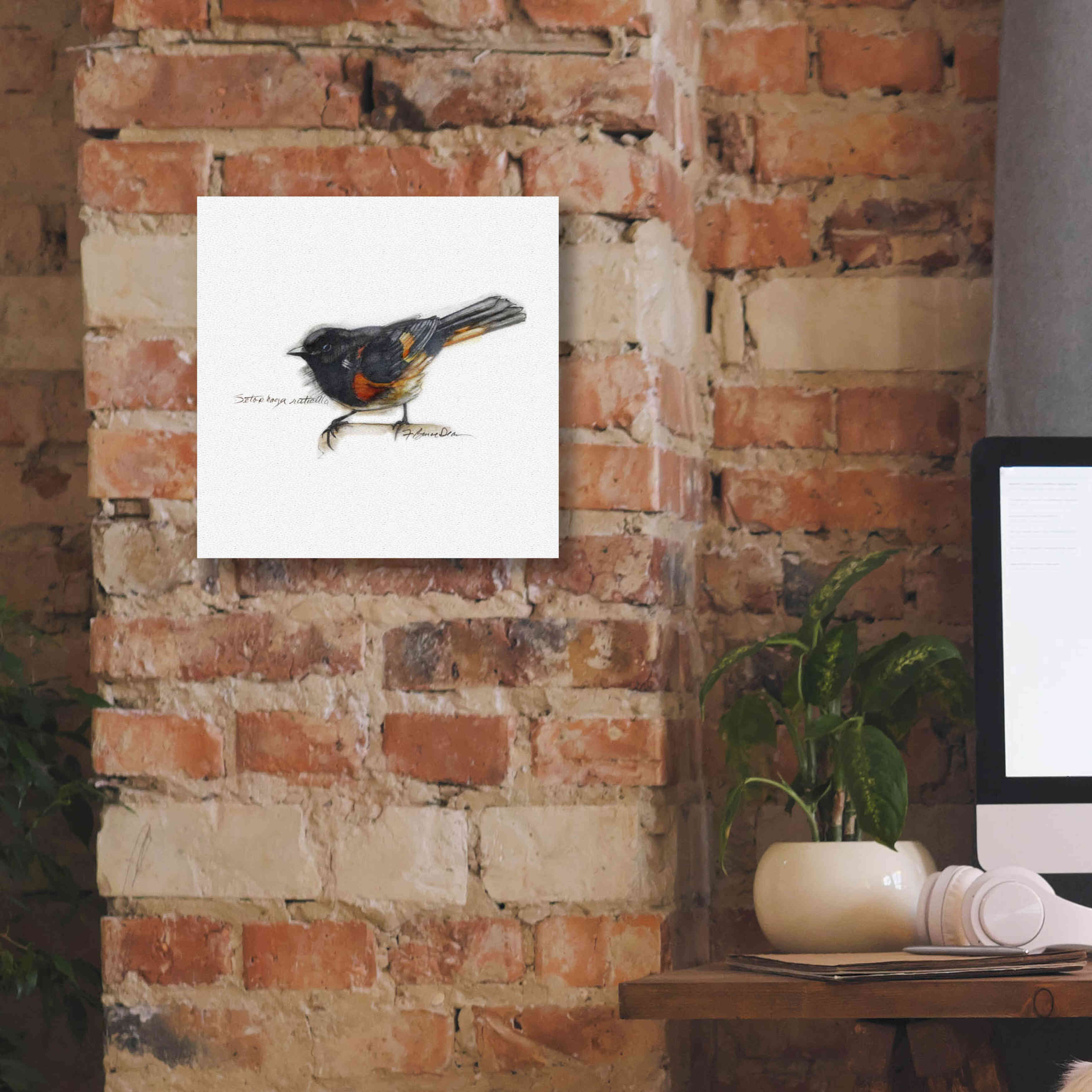 'Songbird Study IV' by Bruce Dean, Giclee Canvas Wall Art,12x12