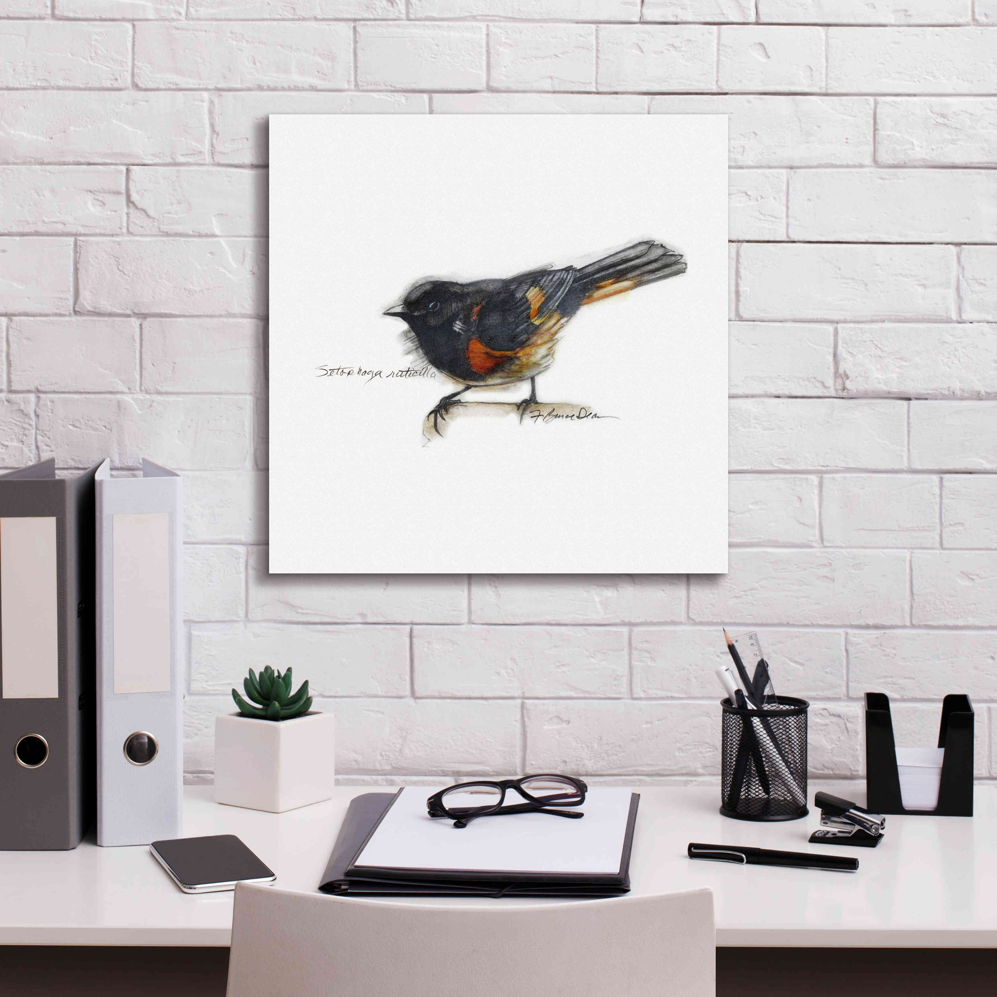 'Songbird Study IV' by Bruce Dean, Giclee Canvas Wall Art,18x18