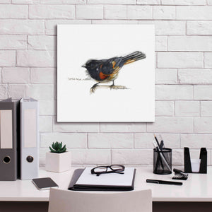 'Songbird Study IV' by Bruce Dean, Giclee Canvas Wall Art,18x18