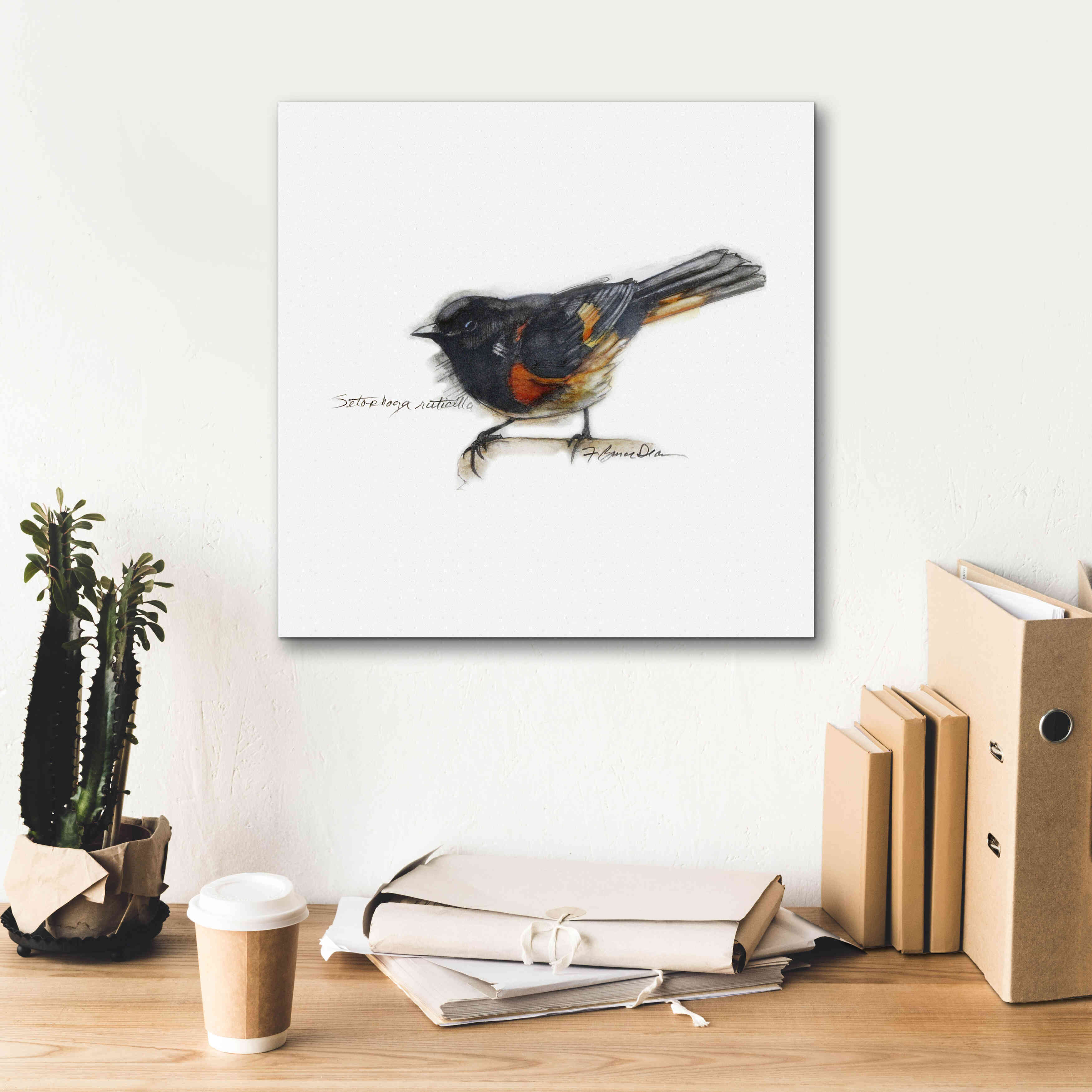 'Songbird Study IV' by Bruce Dean, Giclee Canvas Wall Art,18x18
