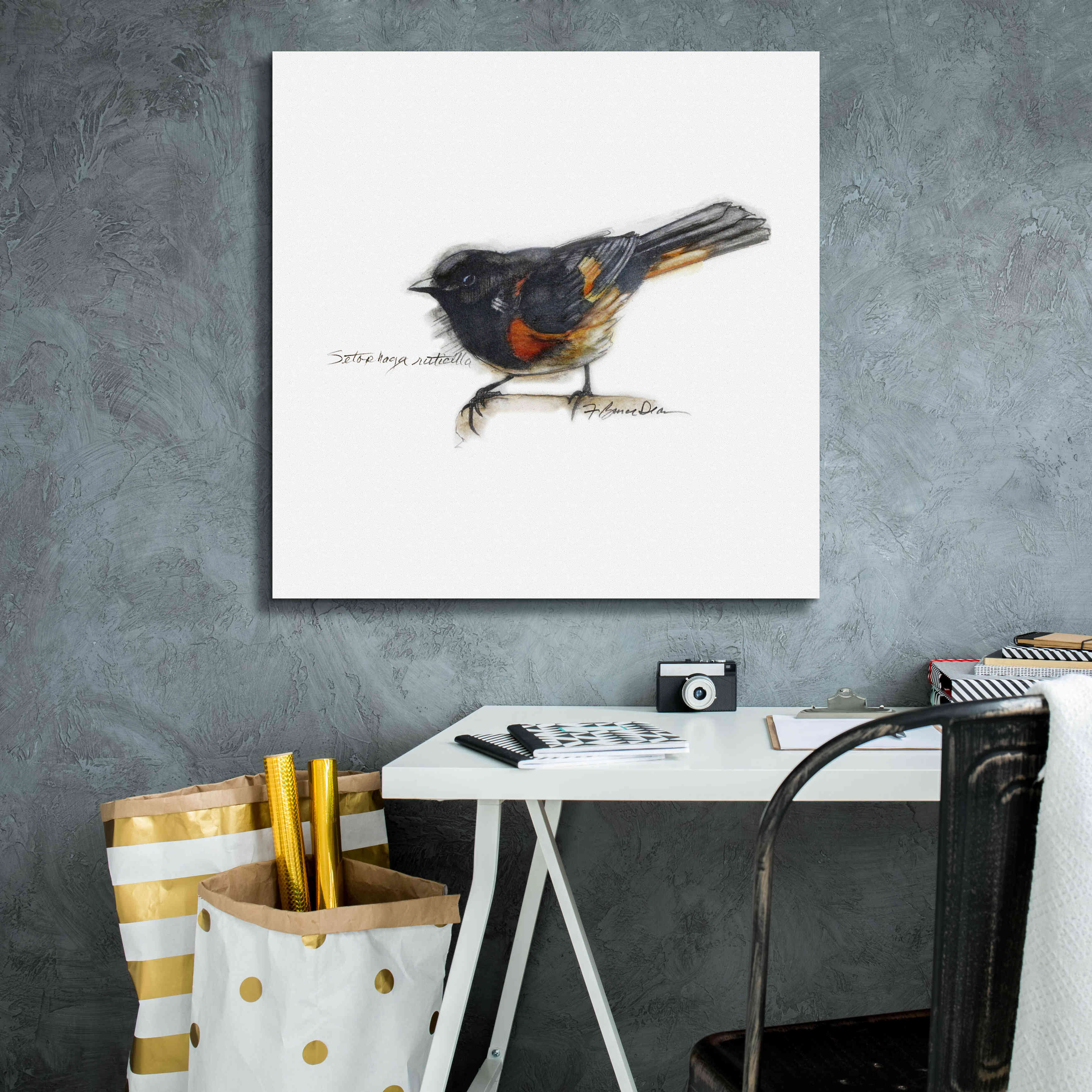 'Songbird Study IV' by Bruce Dean, Giclee Canvas Wall Art,26x26
