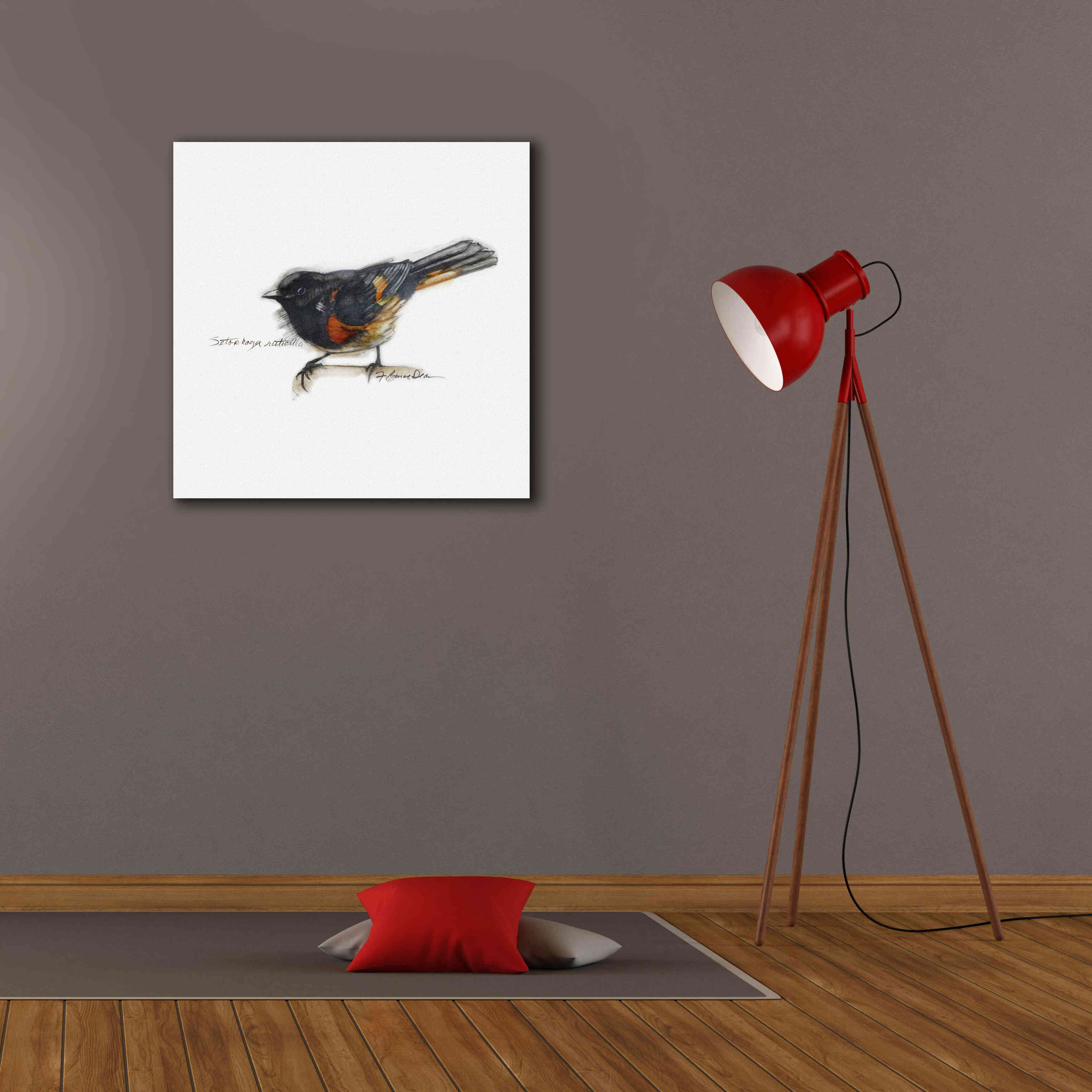 'Songbird Study IV' by Bruce Dean, Giclee Canvas Wall Art,26x26