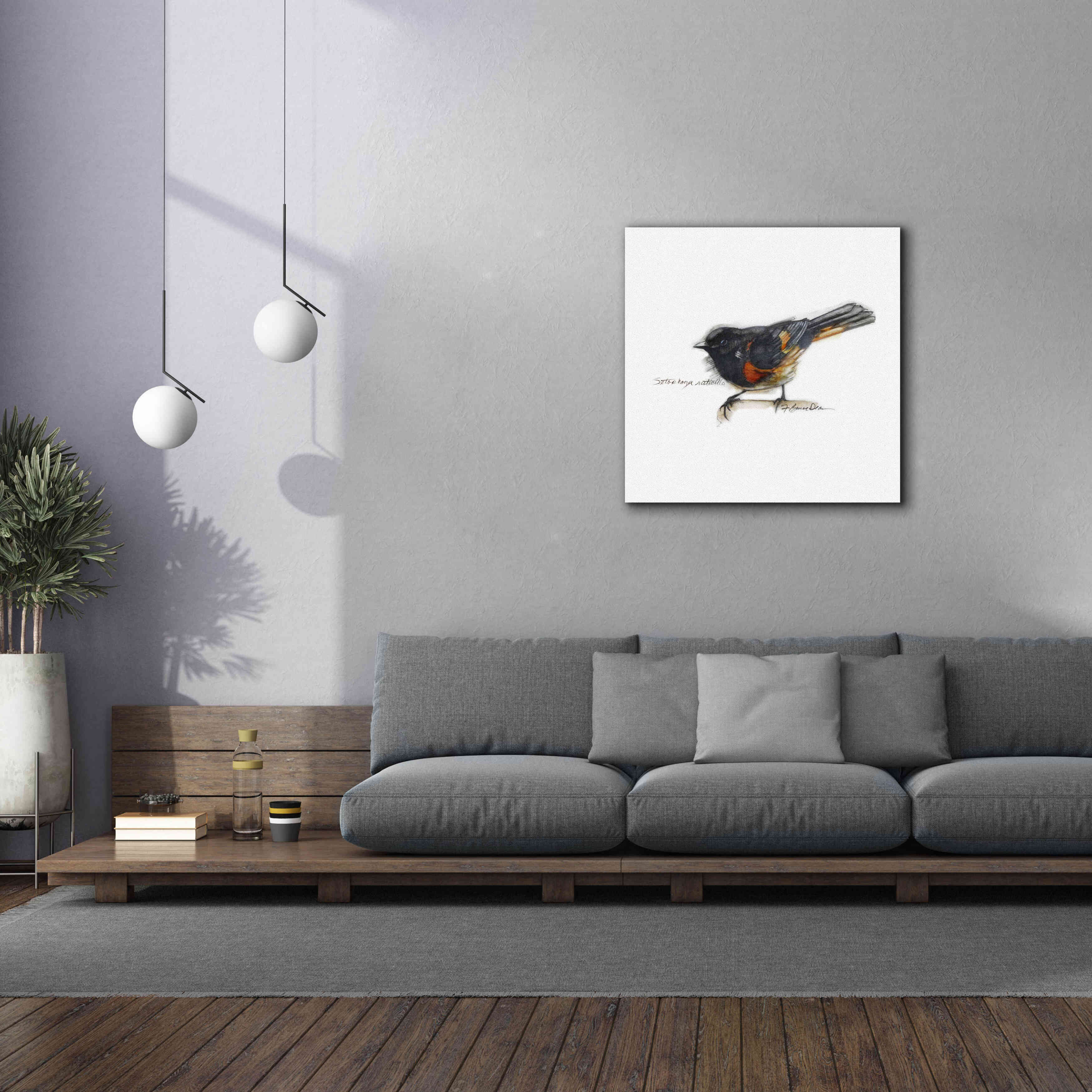 'Songbird Study IV' by Bruce Dean, Giclee Canvas Wall Art,37x37