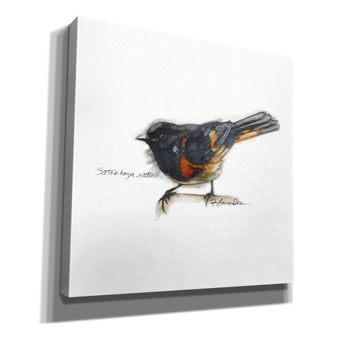 Image of 'Songbird Study IV' by Bruce Dean, Giclee Canvas Wall Art