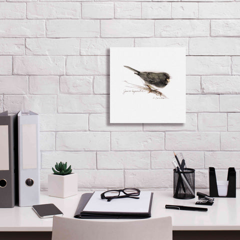 Image of 'Songbird Study V' by Bruce Dean, Giclee Canvas Wall Art,12x12