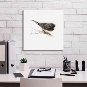 'Songbird Study V' by Bruce Dean, Giclee Canvas Wall Art,18x18