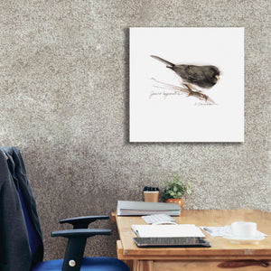 'Songbird Study V' by Bruce Dean, Giclee Canvas Wall Art,26x26