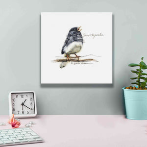 'Songbird Study VI' by Bruce Dean, Giclee Canvas Wall Art,12x12