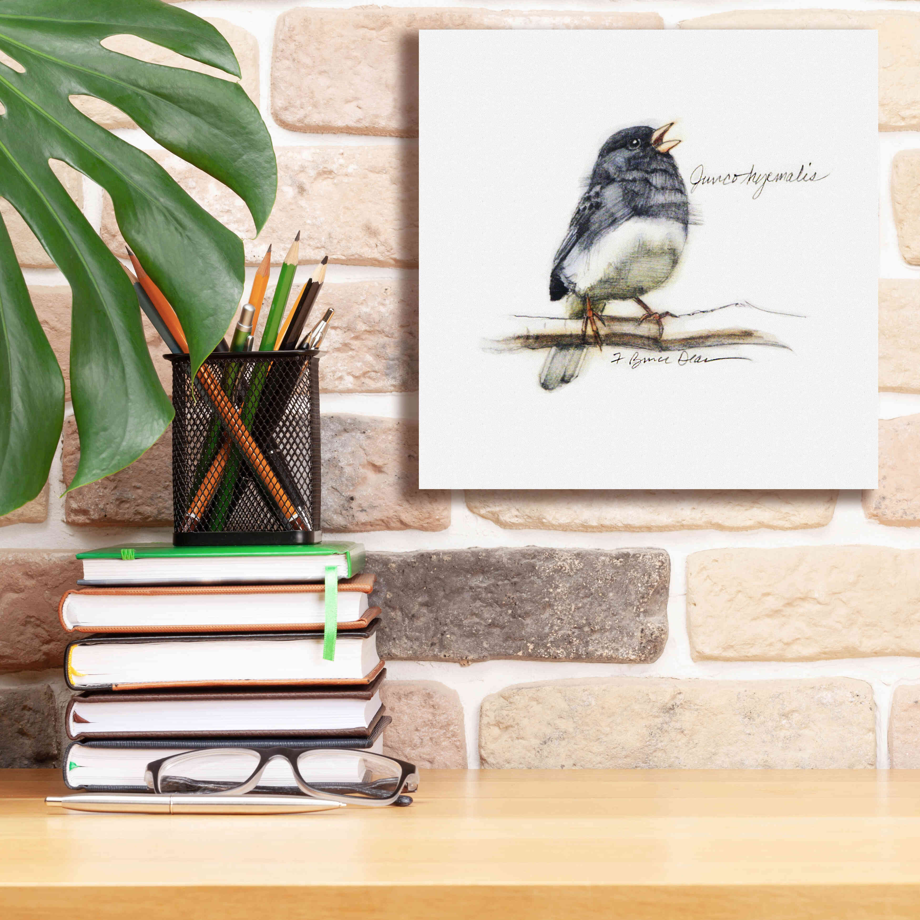 'Songbird Study VI' by Bruce Dean, Giclee Canvas Wall Art,12x12