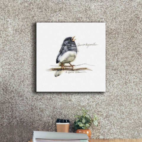 Image of 'Songbird Study VI' by Bruce Dean, Giclee Canvas Wall Art,18x18