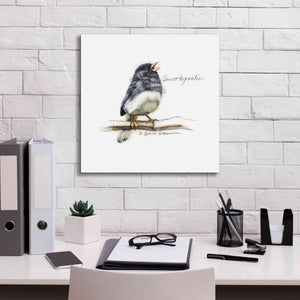'Songbird Study VI' by Bruce Dean, Giclee Canvas Wall Art,18x18