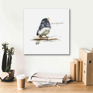 'Songbird Study VI' by Bruce Dean, Giclee Canvas Wall Art,18x18
