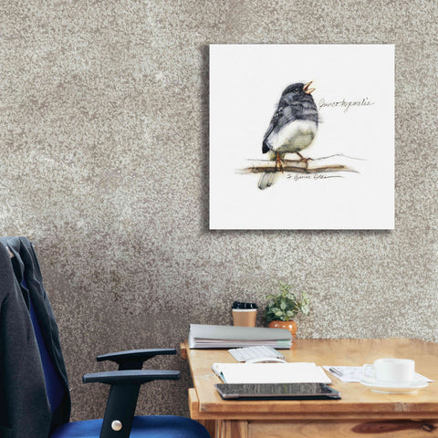 Image of 'Songbird Study VI' by Bruce Dean, Giclee Canvas Wall Art,26x26