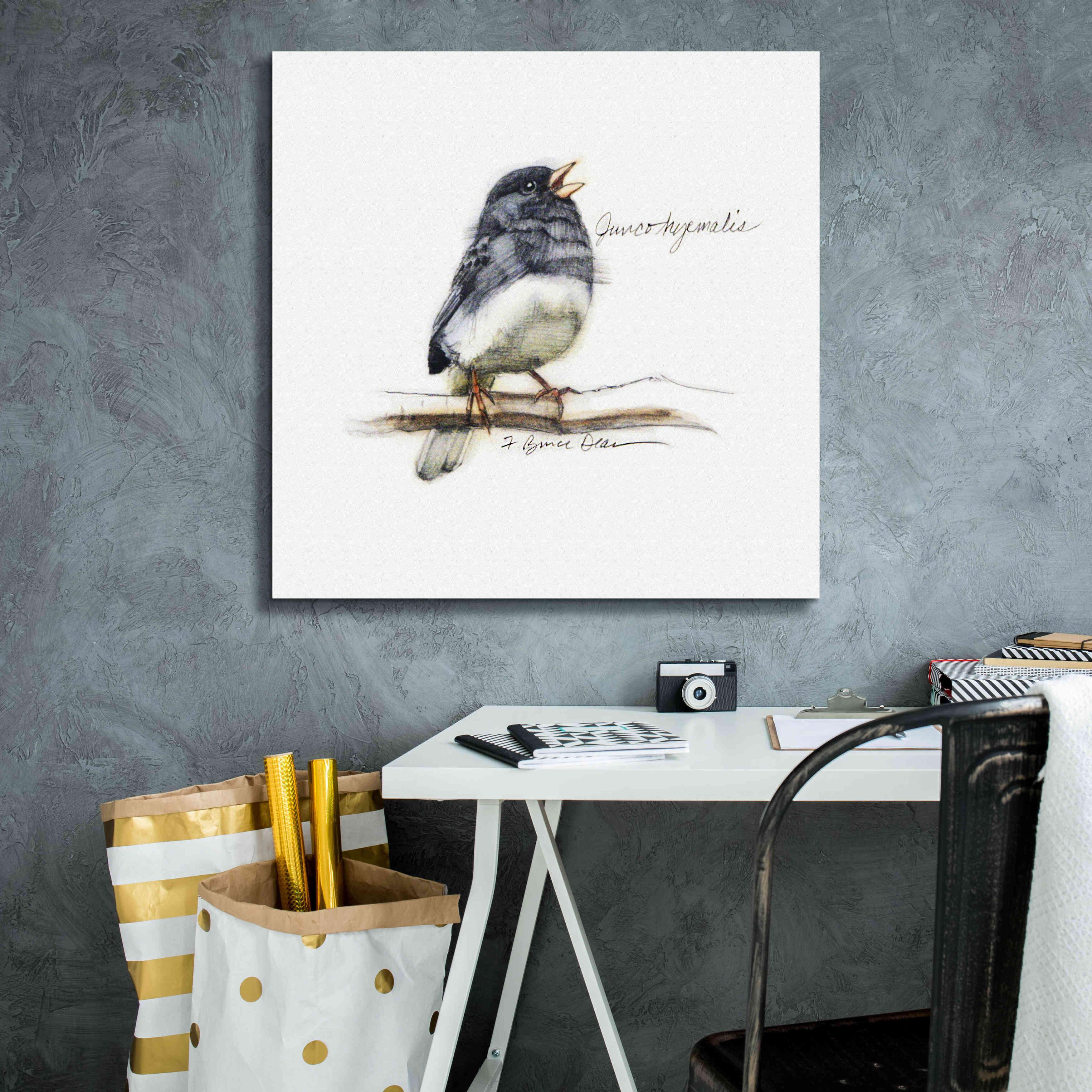 'Songbird Study VI' by Bruce Dean, Giclee Canvas Wall Art,26x26