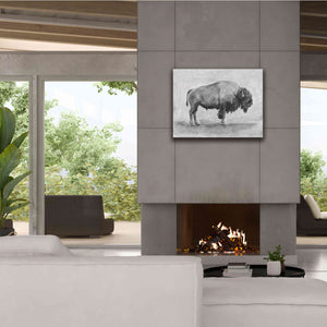'Wild Bison Study I' by Emma Scarvey, Giclee Canvas Wall Art,34 x 26