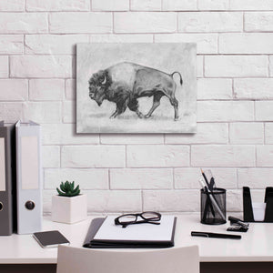 'Wild Bison Study II' by Emma Scarvey, Giclee Canvas Wall Art,16 x 12