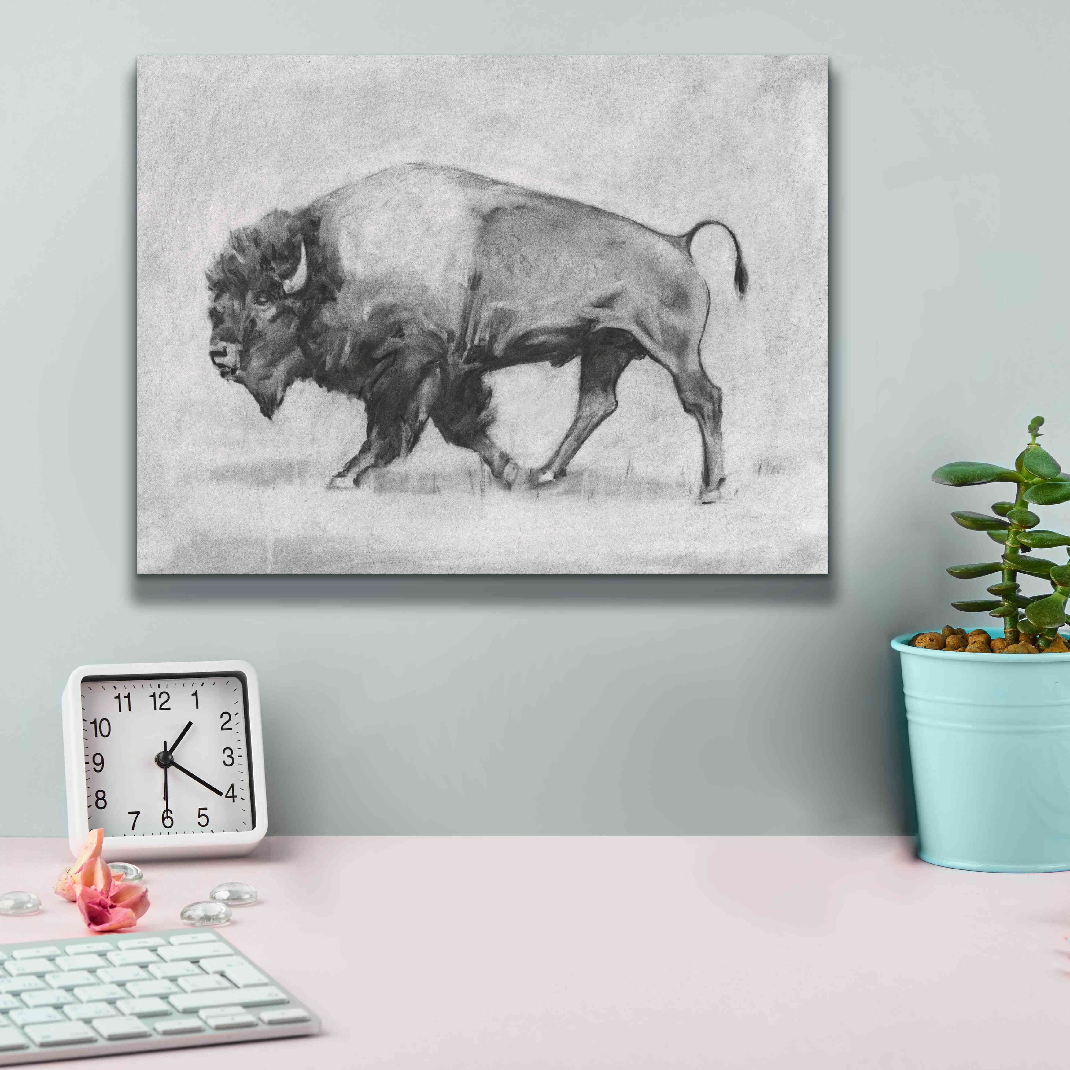 'Wild Bison Study II' by Emma Scarvey, Giclee Canvas Wall Art,16 x 12