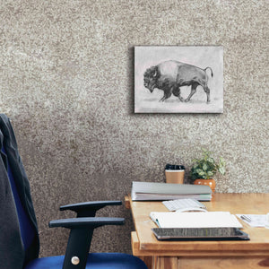 'Wild Bison Study II' by Emma Scarvey, Giclee Canvas Wall Art,16 x 12