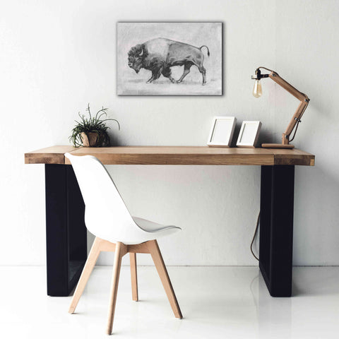 Image of 'Wild Bison Study II' by Emma Scarvey, Giclee Canvas Wall Art,26 x 18