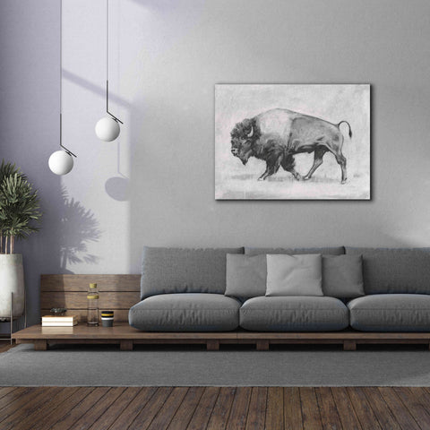Image of 'Wild Bison Study II' by Emma Scarvey, Giclee Canvas Wall Art,54 x 40