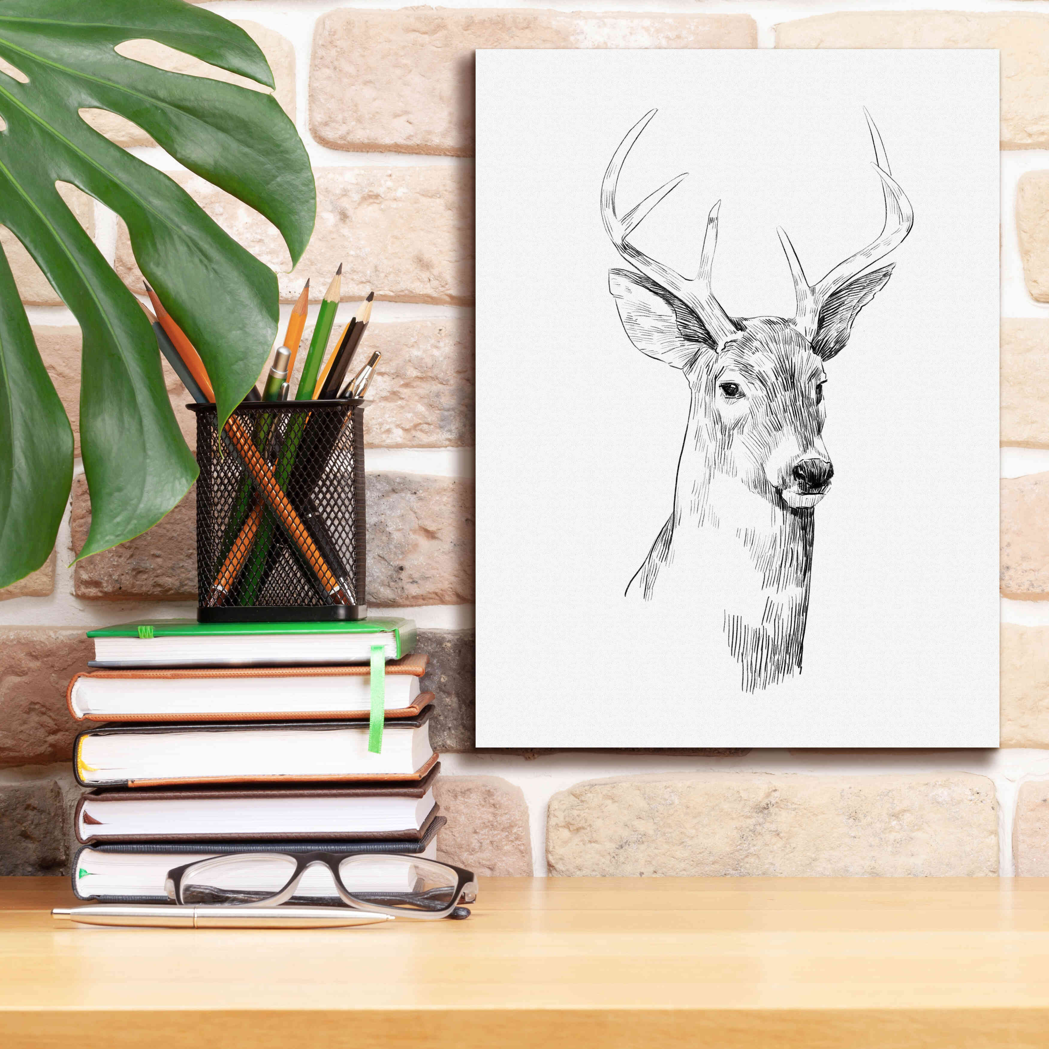 'Young Buck Sketch I' by Emma Scarvey, Giclee Canvas Wall Art,12 x 16