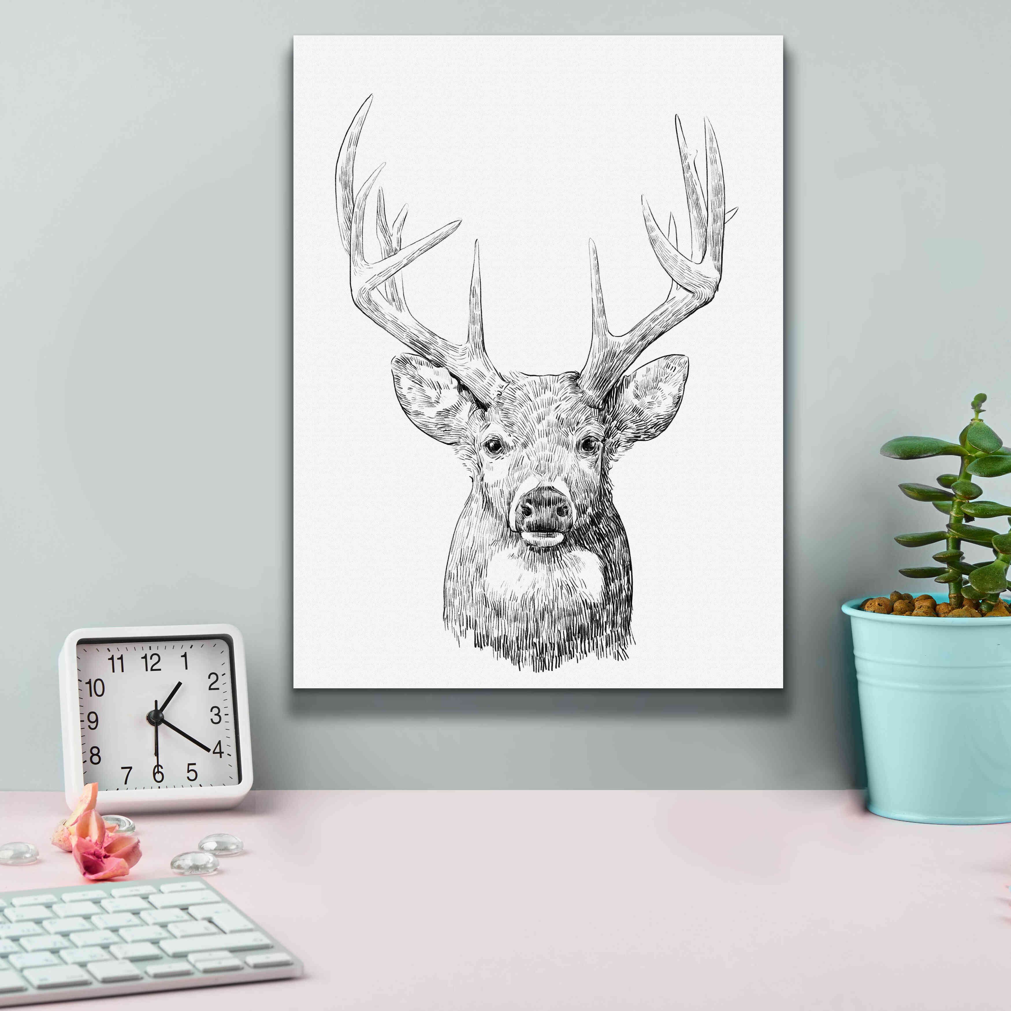 'Young Buck Sketch II' by Emma Scarvey, Giclee Canvas Wall Art,12 x 16