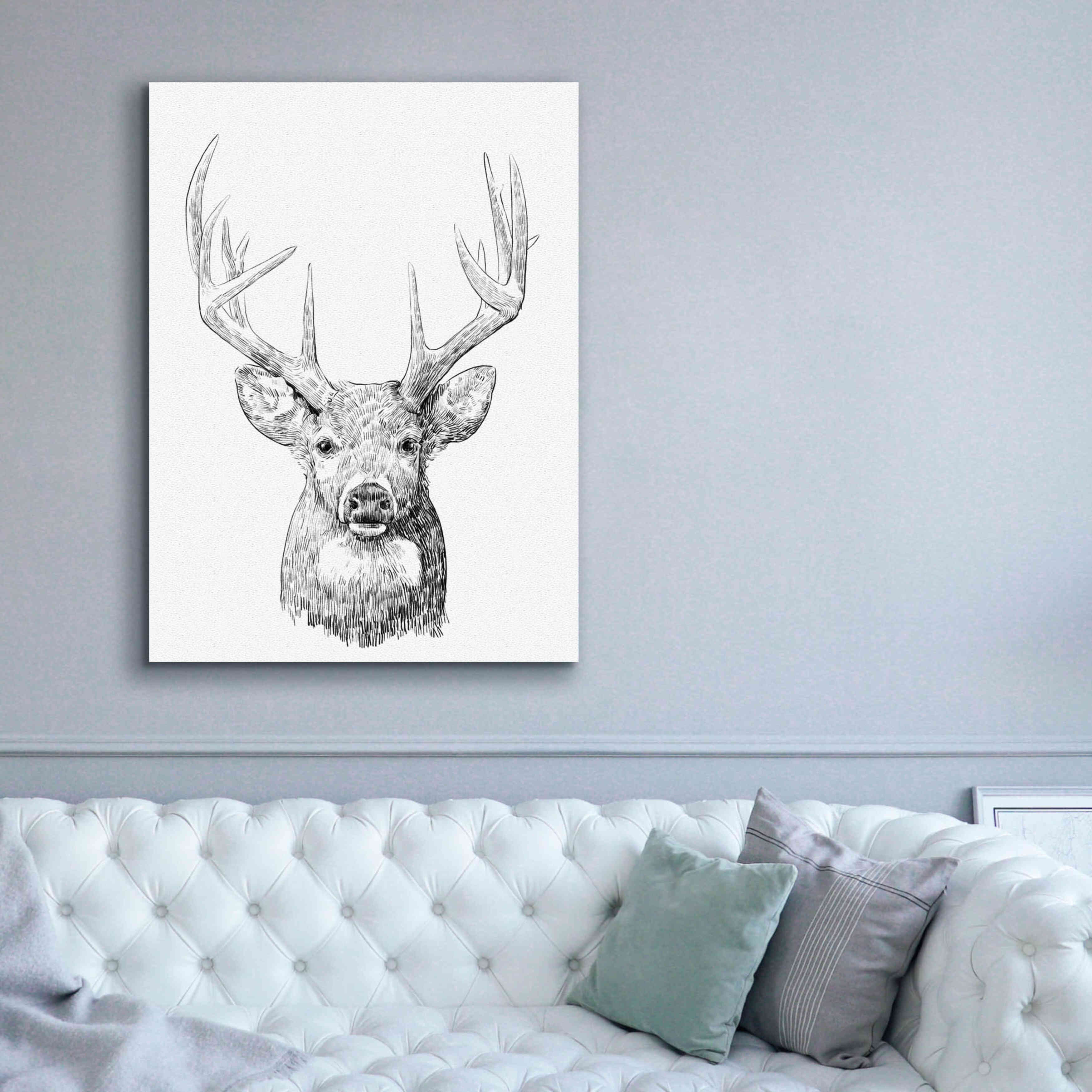 'Young Buck Sketch II' by Emma Scarvey, Giclee Canvas Wall Art,40 x 54