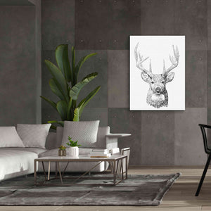 'Young Buck Sketch II' by Emma Scarvey, Giclee Canvas Wall Art,40 x 54