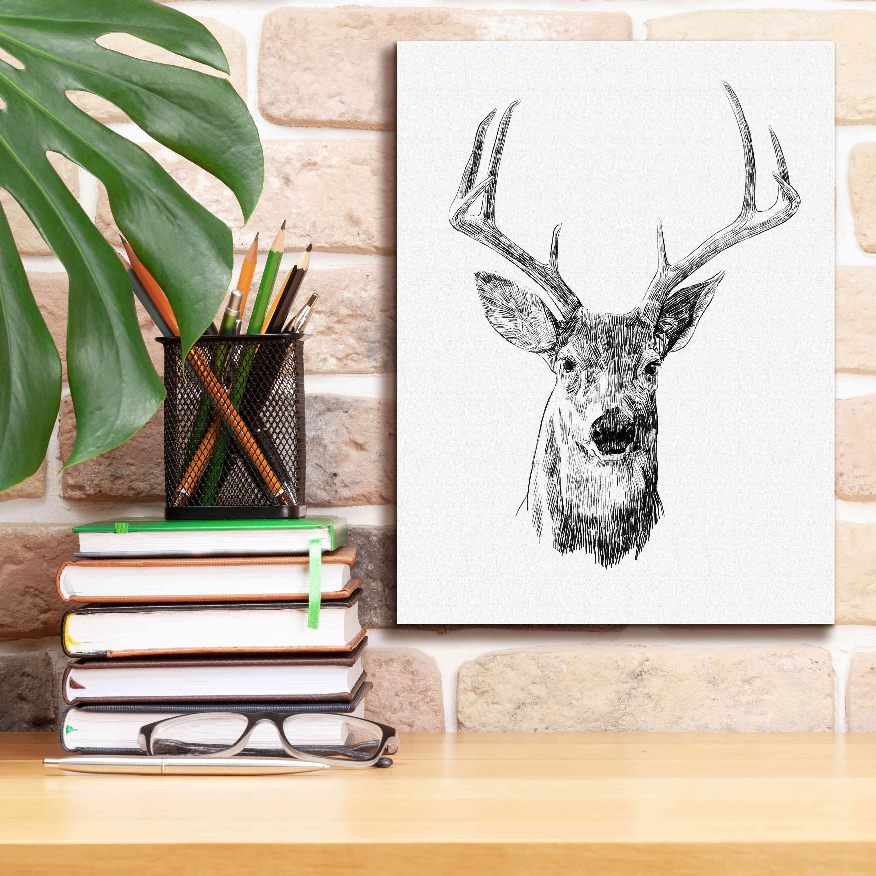 'Young Buck Sketch III' by Emma Scarvey, Giclee Canvas Wall Art,12 x 16