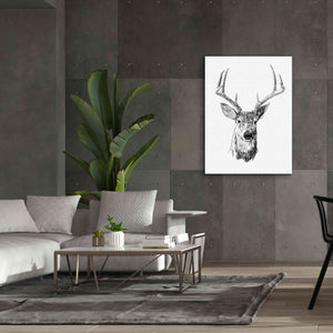 'Young Buck Sketch III' by Emma Scarvey, Giclee Canvas Wall Art,40 x 54