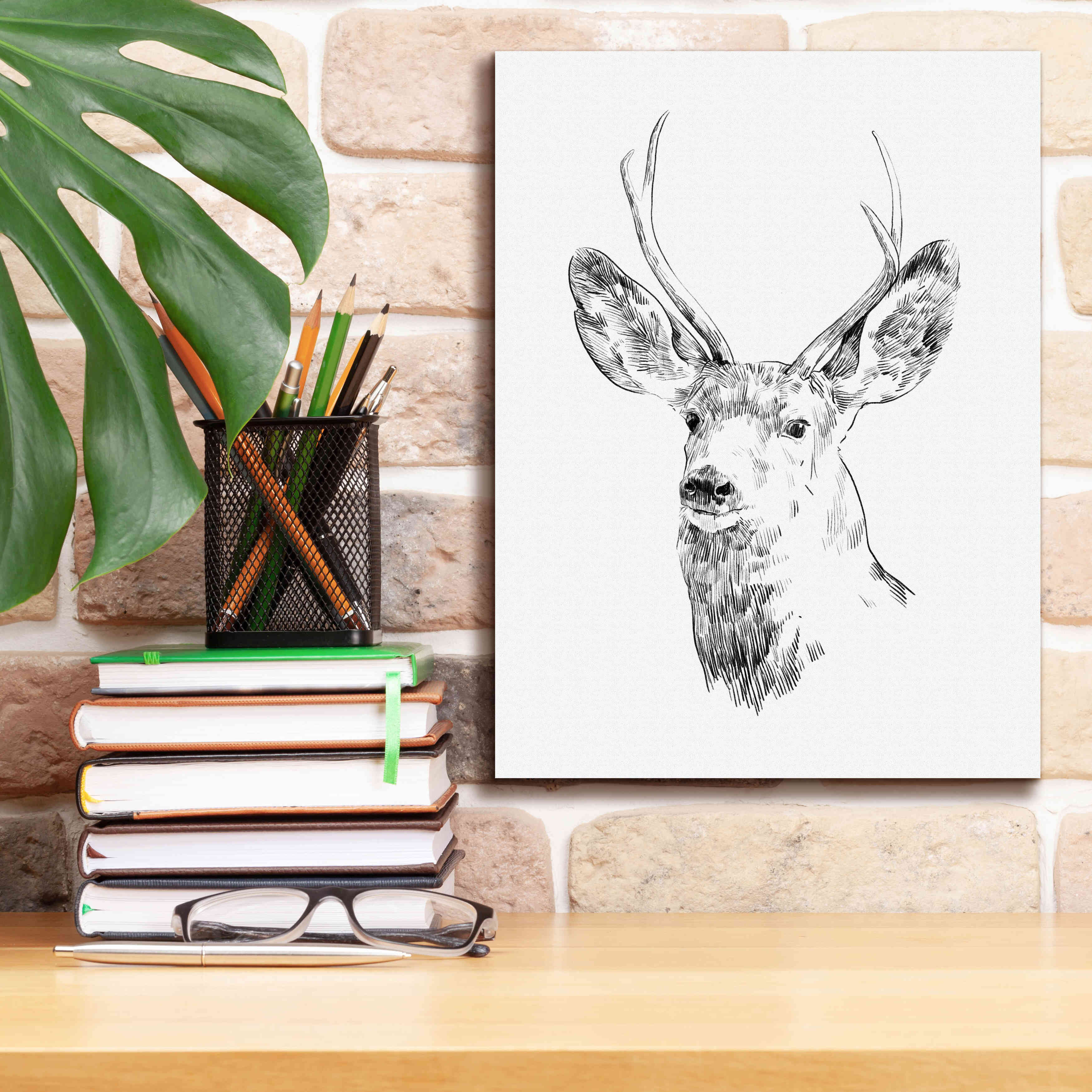 'Young Buck Sketch IV' by Emma Scarvey, Giclee Canvas Wall Art,12 x 16