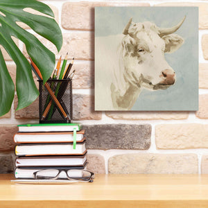 'Ferdinand II' by Emma Scarvey, Giclee Canvas Wall Art,12 x 12