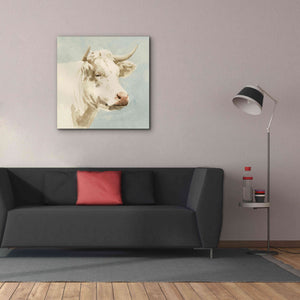 'Ferdinand II' by Emma Scarvey, Giclee Canvas Wall Art,37 x 37