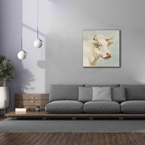 'Ferdinand II' by Emma Scarvey, Giclee Canvas Wall Art,37 x 37