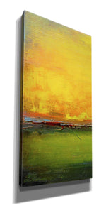 'Lime Wire I' by Erin Ashley, Giclee Canvas Wall Art