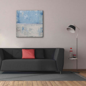'Silver Aura' by Erin Ashley, Giclee Canvas Wall Art,37x37