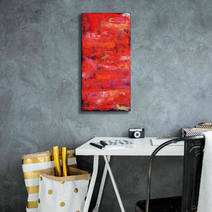 'Red Door I' by Erin Ashley, Giclee Canvas Wall Art,12 x 24