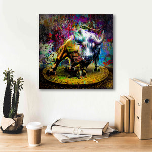 'Bitcoin Bull Market,' Canvas Wall Art,18x18