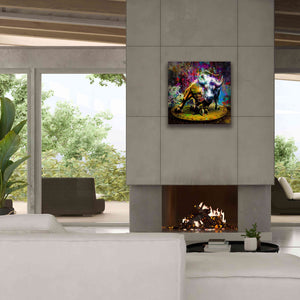 'Bitcoin Bull Market,' Canvas Wall Art,26x26