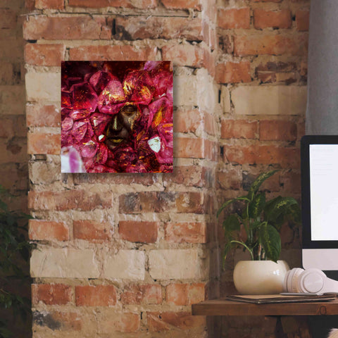 Image of 'States of the Matter - Crystallize' by Mario Sanchez Nevado, Canvas Wall Art,12x12