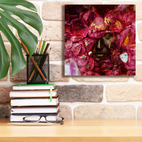 Image of 'States of the Matter - Crystallize' by Mario Sanchez Nevado, Canvas Wall Art,12x12