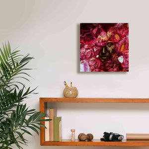 'States of the Matter - Crystallize' by Mario Sanchez Nevado, Canvas Wall Art,12x12