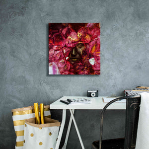 'States of the Matter - Crystallize' by Mario Sanchez Nevado, Canvas Wall Art,18x18