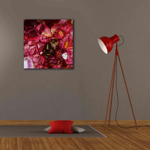 'States of the Matter - Crystallize' by Mario Sanchez Nevado, Canvas Wall Art,26x26
