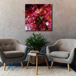 'States of the Matter - Crystallize' by Mario Sanchez Nevado, Canvas Wall Art,37x37