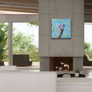 'Koala by Alana Clumeck Giclee Canvas Wall Art,26x26