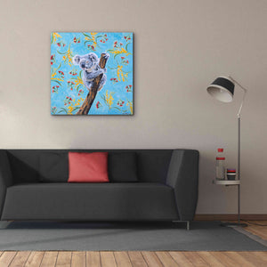 'Koala by Alana Clumeck Giclee Canvas Wall Art,37x37