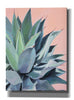 'Glory by Alana Clumeck Giclee Canvas Wall Art