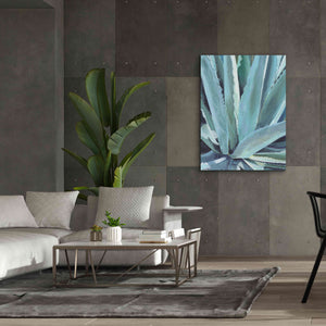 'Blue Agave by Alana Clumeck Giclee Canvas Wall Art,40x54